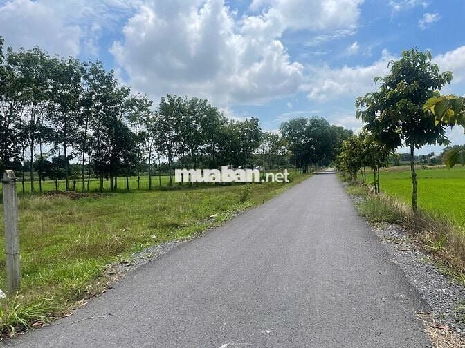 Đất hẻm TT Hóc Môn 76m2 giá 2tỷ