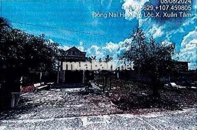 Bán ĐGTS đất tại xã Xuân Hòa, Tỉnh Đồng Nai
