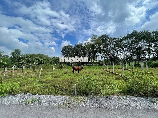 Đất hẻm TT Hóc Môn 76m2 giá 2tỷ