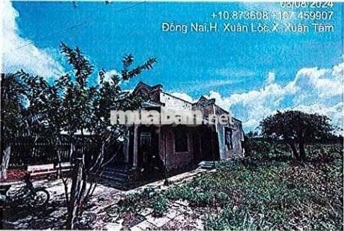 Bán ĐGTS đất tại xã Xuân Hòa, Tỉnh Đồng Nai