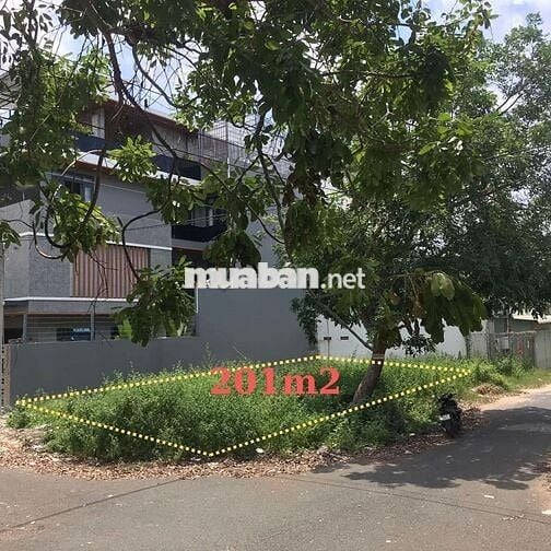 Bán đất tại Phường Châu Phú A, Châu Đốc, An Giang, 4 tỷ, 201 m2