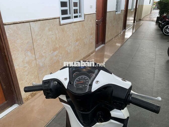 Honda @ Up SH Ý