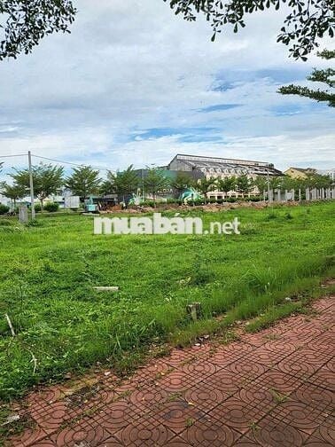 CẶP NỀN SONG SINH 70 / 72 – ĐẮC LỘC TỤ TÀI, SONG HÀNH THỊNH VƯỢNG