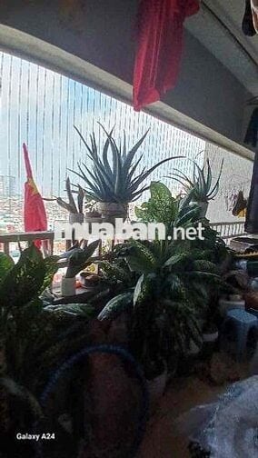CC NGÔ THÌ NHẬM  HÀ ĐÔNG - 89m2- 2 PN - HƯỚNG ĐÔNG BẮC - 5.4 TỶ