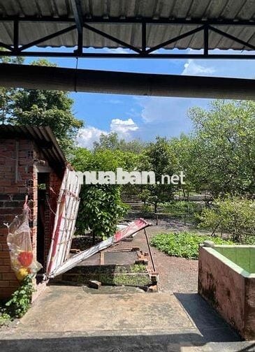 Bán nhà đất mặt tiền ĐT 794.  Xã Suối Ngô (Tân Hoà mới), Tân Châu, Tây