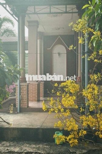 Bán nhà đất mặt tiền ĐT 794.  Xã Suối Ngô (Tân Hoà mới), Tân Châu, Tây