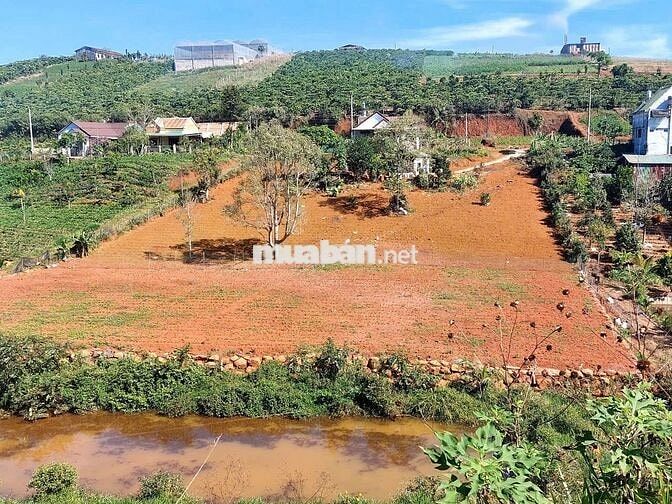 Đất đẹp Bảo Lộc, cơ hội đầu tư không thể bỏ qua!
