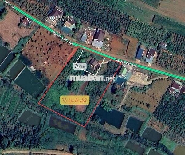 Đất đẹp Bảo Lộc, cơ hội đầu tư không thể bỏ qua!