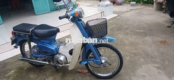 Cub 82