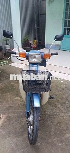 Cub 82