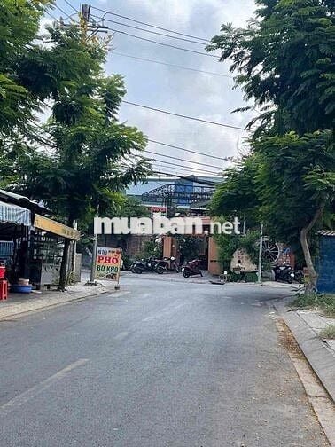 Nhà Cấp 4 MT đg XTT 4 KD Buôn Bán Ok, Shr 12.5x25m Dt sử dụng 400m