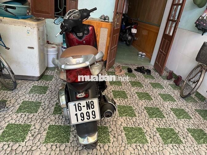 xe đẹp biển vip