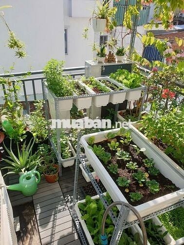 CHO THUÊ NHÀ NC QUẬN 1 GIÁ RẺ - VỊ TRÍ THUẬN LỢI KHU VỰC SẦM UẤT !