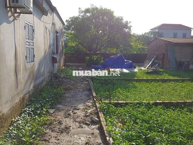 62.8 M2 Đất Nội thành Hà Nội. 725tr