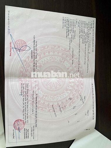 Cần bán nhà 3 tầng MT Trần Văn Ơn, mặt tiền 8m, diện tích lớn
