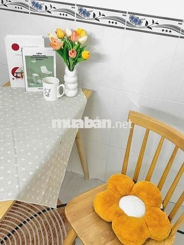 Khai trương phòng trọ Sinh Viên full nội thât kế bên ĐH Tôn Đức Thắng