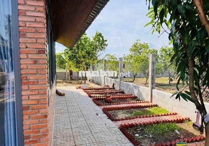 3059m2 nhà vườn (300m2 THỔ) - 980tr sang tên - NHÀ CÓ SẴN