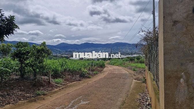 BÁN NHÀ VƯỜN NGHỈ DƯỠNG 1050m² TẠI NAM BAN LÂM HÀ – VIEW TOÀN CẢNH