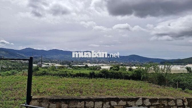 BÁN NHÀ VƯỜN NGHỈ DƯỠNG 1050m² TẠI NAM BAN LÂM HÀ – VIEW TOÀN CẢNH
