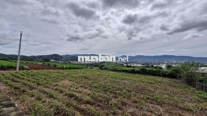 BÁN NHÀ VƯỜN NGHỈ DƯỠNG 1050m² TẠI NAM BAN LÂM HÀ – VIEW TOÀN CẢNH