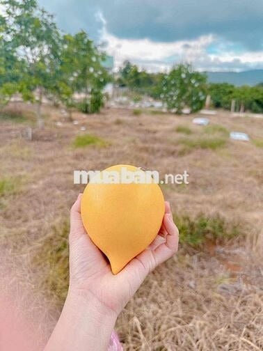 Chính chủ cần bán  lô đất trung tâm xã Mê Linh - Lâm Hà - Lâm Đồng