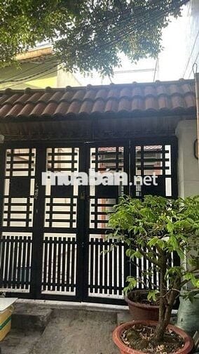 Cho thuê nhà riêng phường 14 quang Trung