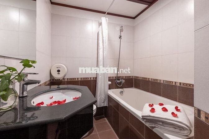 Cho thuê CCMN Số 19 Nguyễn Thượng Hiền, giá 6tr - 7tr
