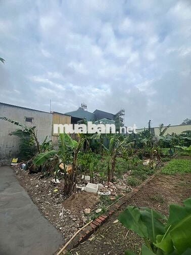 Đất 207m hẻm Bùi Thị Xuân gần chợ Tân Bình Dĩ An