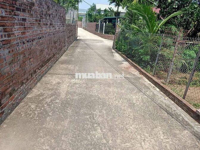 CC BÁN 265,2M THỔ CƯ 100M,MT 8,3M GIÁ CHỈ 3, 6TỶ,HÒA TRÚC XÃ PHÚ CÁT