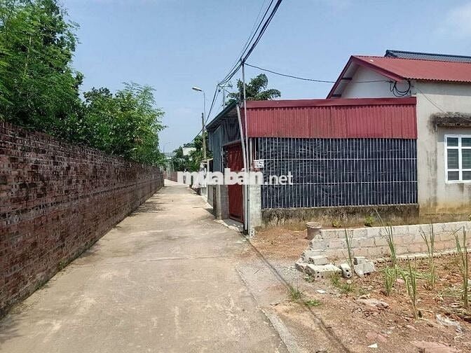 CC BÁN 265,2M THỔ CƯ 100M,MT 8,3M GIÁ CHỈ 3, 6TỶ,HÒA TRÚC XÃ PHÚ CÁT