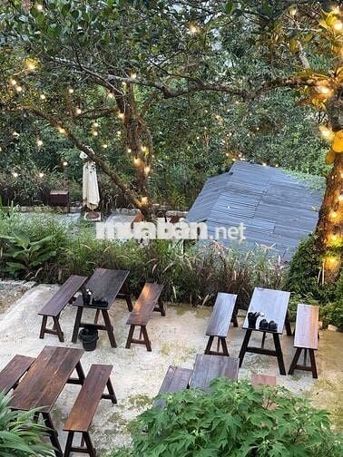 SANG NHƯỢNG QUÁN NƯỚNG BBQ - TP. ĐÀ LẠT (GẦN TRUNG TÂM)