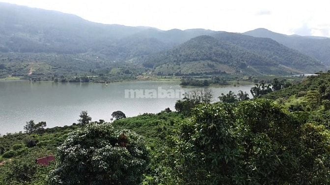 Đất Kala, lô đất 2600mv sổ sách đầy đủ, view hồ cực đẹp, đường ô tô.