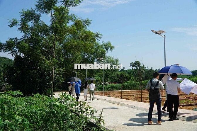 Bán Đất Thanh Hoá  .Giá : 470 triệu /lô