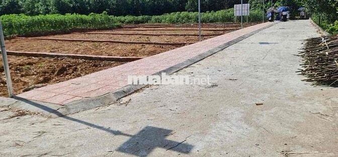 Bán Đất Thanh Hoá  .Giá : 470 triệu /lô
