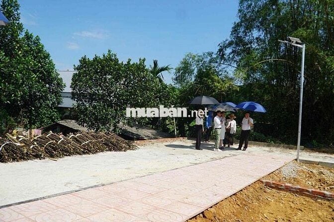 Bán Đất Thanh Hoá  .Giá : 470 triệu /lô