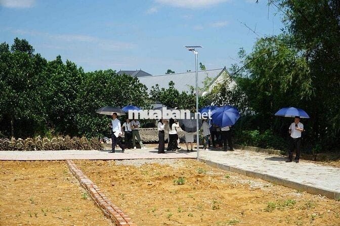Bán Đất Thanh Hoá  .Giá : 470 triệu /lô
