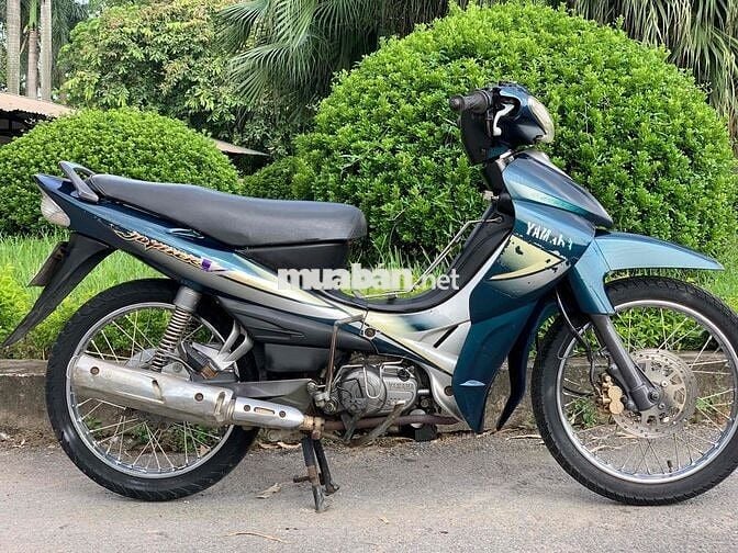 jupiter ngon,chất,khoẻ