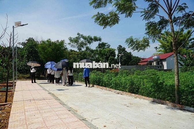 Bán Đất Thanh Hoá  .Giá : 470 triệu /lô