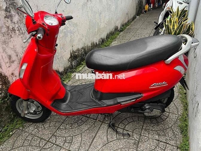 elizabeth bs65 zin cực đẹp
