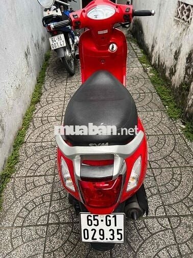 elizabeth bs65 zin cực đẹp