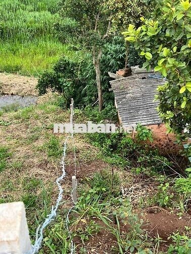 THỬA ĐẤT GẦN KHU BIỆT THỰC SÀI GON-NAM BAN