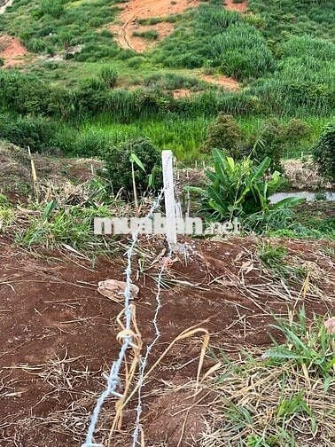 THỬA ĐẤT GẦN KHU BIỆT THỰC SÀI GON-NAM BAN