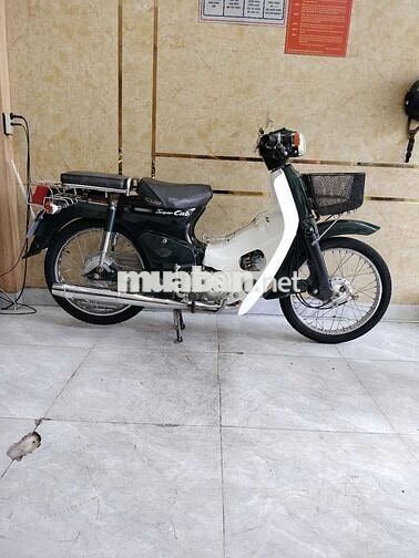 CÚP 50cc ,XE VIỆT THÁI 2016, HỌC SINH ĐI HỌC