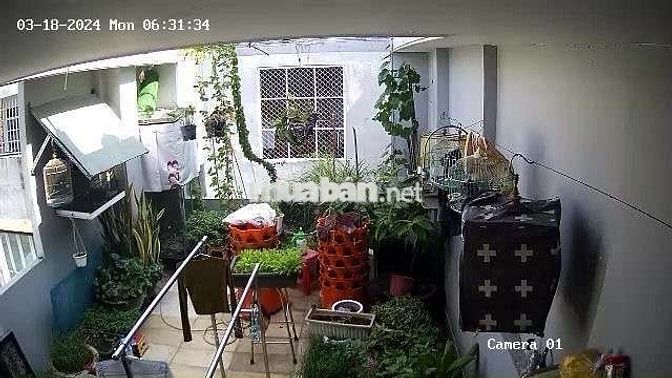🔥 MẶT TIỀN TÂN THỚI NHẤT 17— Q12
🏡 Ngang 4.2M—85M²—4 tầng—Đường 15m.