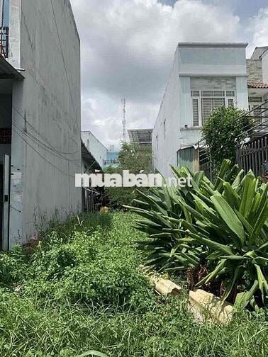 ĐẤT MT ĐƯỜNG 8M XUÂN THỚI THƯỢNG -5x30M-1KM RA PHAN VĂN HỚN-4,6 TỶ