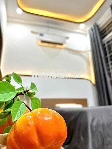 Căn Hộ 1Pn 35m2  ban công Tách Bếp Nuôi Gì Cũng Được