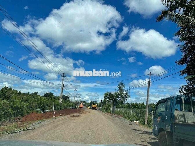 Mua Lô Đất lại có thêm thu nhập hàng năm - Phường Tân An - BMT