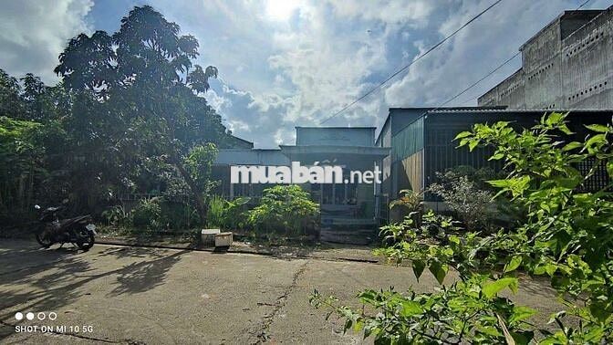 Bán đất tặng 2 căn nhà cấp 4  Ngang 13mx25m KDC An Phước Tam Thôn Hiệp