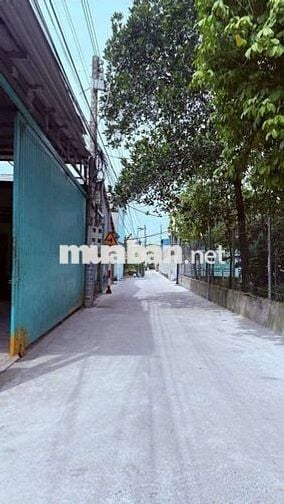 BÁN ĐẤT BÌNH NHÂM 38/ ,P LÁI THIÊU ,TP HCM