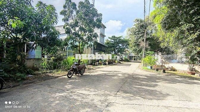 Bán đất tặng 2 căn nhà cấp 4  Ngang 13mx25m KDC An Phước Tam Thôn Hiệp